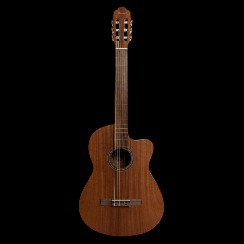 Guitarra Electroacustica Bamboo GC-39 Mahogany Bamboo Guitarras Acústicas